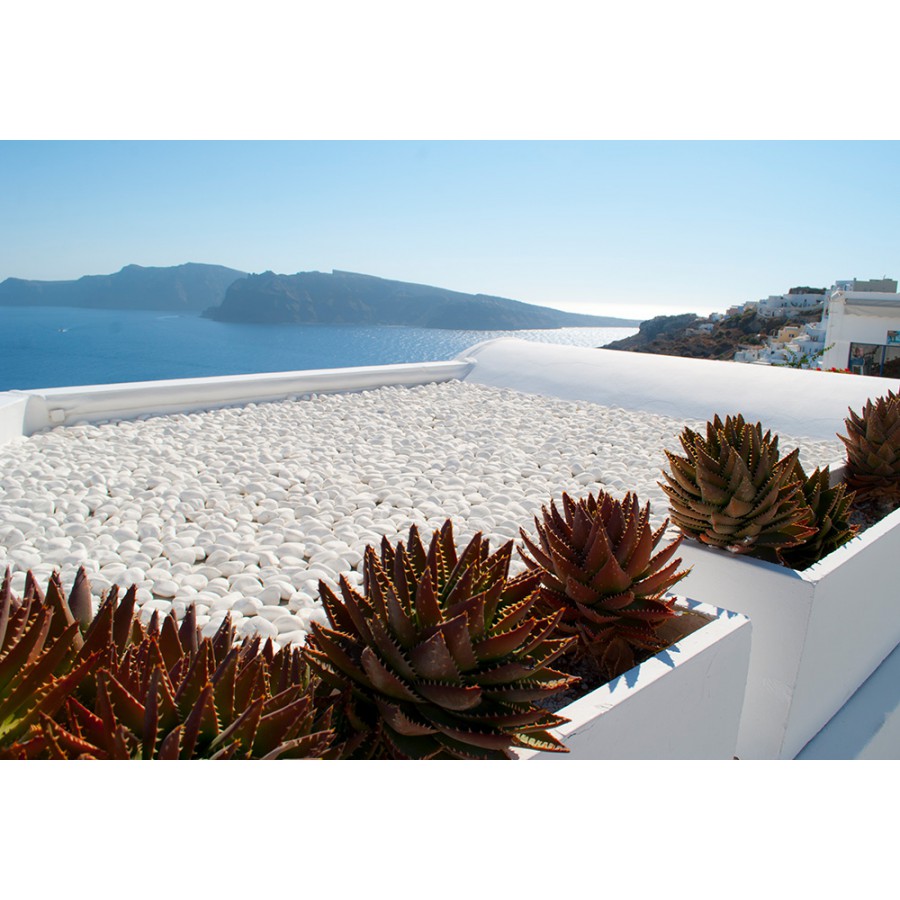 ΒΟΤΣΑΛΟ ΛΕΥΚΟ