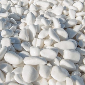 ΒΟΤΣΑΛΟ ΛΕΥΚΟ