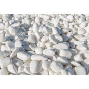 ΒΟΤΣΑΛΟ ΛΕΥΚΟ