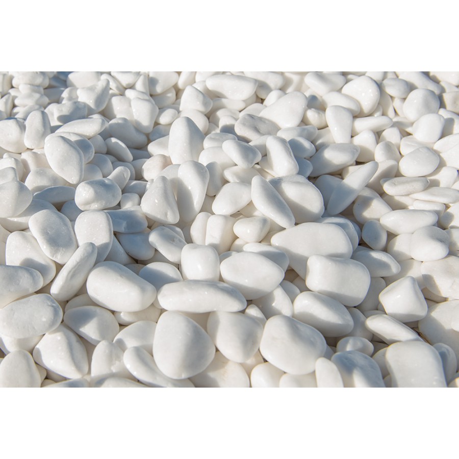 ΒΟΤΣΑΛΟ ΛΕΥΚΟ