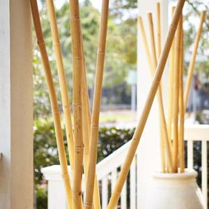 Ιστός καλάμι μπαμπού  Ø4-6 x 300εκ. 