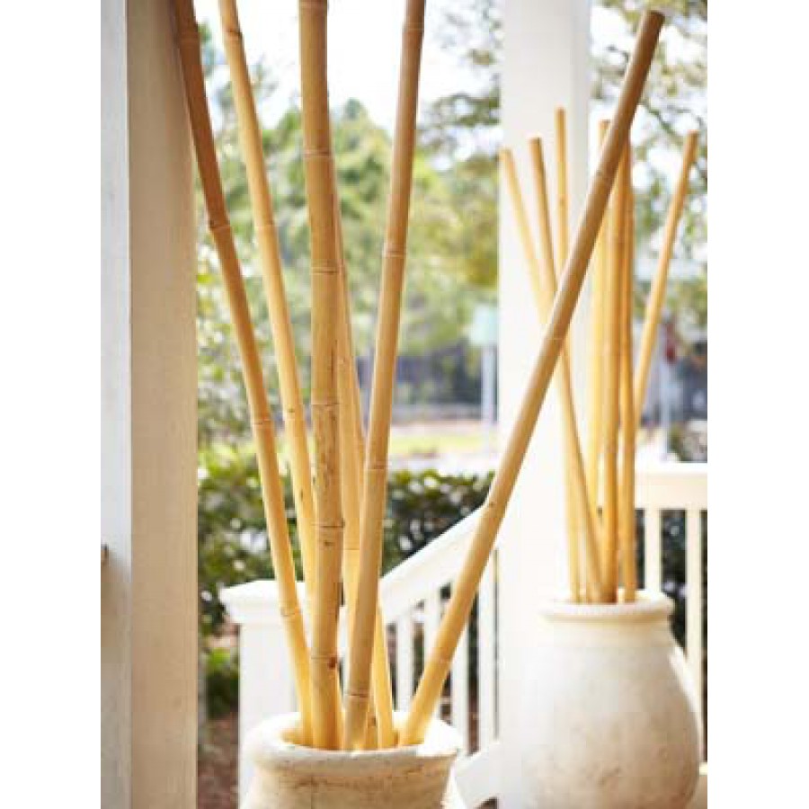 Ιστός καλάμι μπαμπού  Ø4-6 x 300εκ. 
