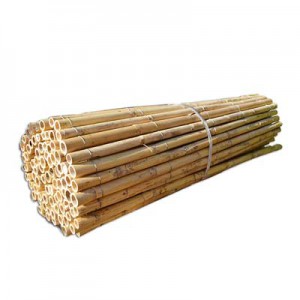 Καλάμι ολόκληρο διετές Ø25-30mm - 150 x 250εκ. SHOWOOD