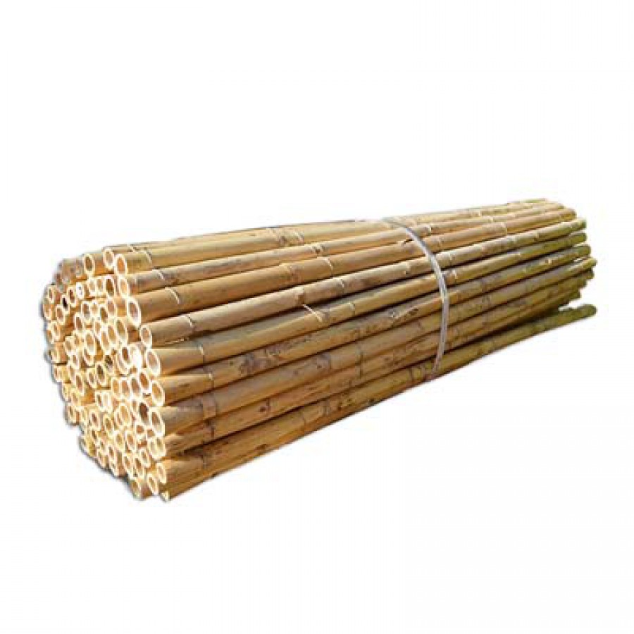 Καλάμι ολόκληρο διετές Ø25-30mm - 150 x 250εκ. SHOWOOD